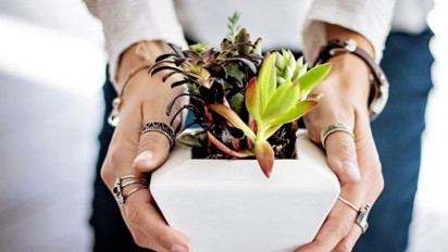 Harus Tahu, Tanggal 28 November Diperingati sebagai Hari Menanam Pohon Nasional dan Hari Dongeng Nasional