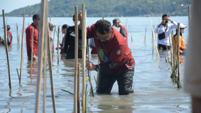 Sambut Hari Penanaman Pohon, Pj Gubernur Sulbar Canangkan Penanaman Mangrove sebanyak 1.250.000 Pohon di 5 Kabupaten