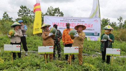 Pemkab Kotim Akan Terus Tingkatkan Indeks Pertanaman