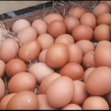 Harga Pangan Hari Ini 16 Juli 2026: Cabai Rawit Merah Rp58.150 per Kilogram hingga Telur Ayam Ras Rp29.000 per Kilogram