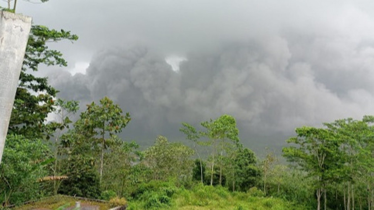 Peristiwa Awan Panas Guguran Gunung Semeru, Sebanyak 1.979 Jiwa Mengungsi
            - galeri foto