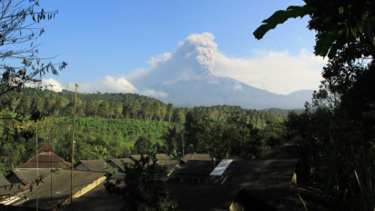 Warga Lereng Raung di Banyuwangi Resah, Macan Tutul Berkeliaran di Perkebunan