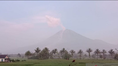 Gunung Semeru Masih Luncurkan Awan Panas Guguran