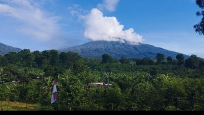 Macan Tutul Masuk Perkebunan di Banyuwangi, BKSDA Segera Pasang Kamera Trap