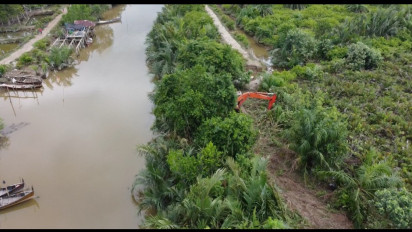 Hutan Mangrove Dirambah, Warga Pesisir Langkat Terancam Terendam Banjir