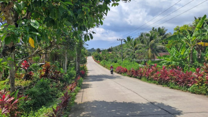 Naikkan Perekonomian Daerah, Akses Pelosok Desa di Banyuwangi Dibangun Jalan Beton