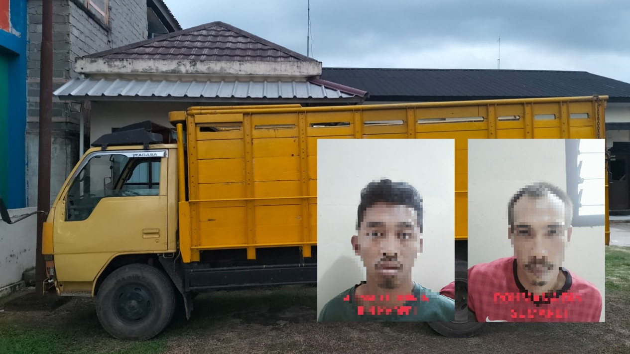 Dua Kali Curi Gabah, 3 Pelaku Diamankan Polres Lampung Timur
            - galeri foto