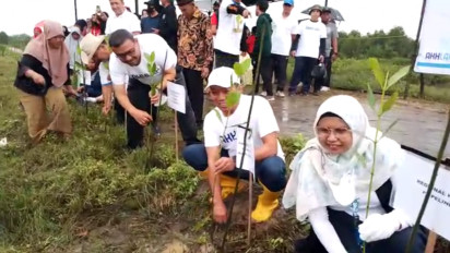 Antisipasi Banjir Rob dan Abrasi Lingkungan, Ribuan Mangrove Ditanam di Pesisir Pantai