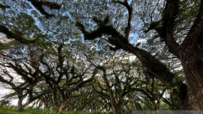 Tempat Eksotik Tersembunyi di Banyuwangi