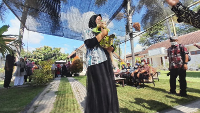 Gerakan Obat Cacing Anjing Kucing Terpadu (Gocat), Puluhan Ekor Kucing di Banyuwangi Ikuti Ajang Fashion Show