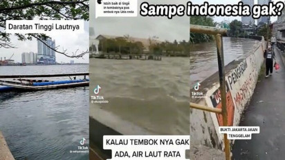 Heboh! Air Laut di Jakarta Lebih Tinggi Dari Daratan! Benarkah Akan Tenggelam?