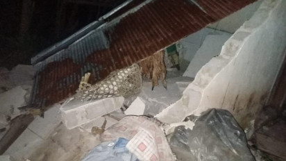 Dua Kecamatan Terdampak Gempa Karangasem Bali, Terjadi 15 Kali Gempa Susulan