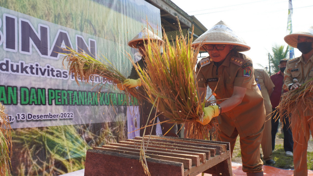 Tanggulangi Inflasi dan Berdayakan Petani, Dispangtan Serahkan Bantuan
            - galeri foto