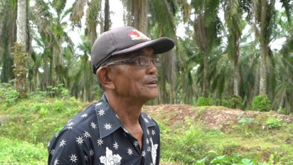 Cerita Kesaksian Kakek 84 Tahun, Penggarap Pertama Lahan PTPN IV Kebun Balimbingan