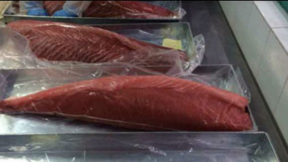 Indonesia Dapat Tambahan Kuota Penangkapan Tuna