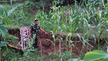 Tanah Retak dan Ambles Sepanjang Ratusan Meter di Gunungkidul Ancam Pemukiman Warga