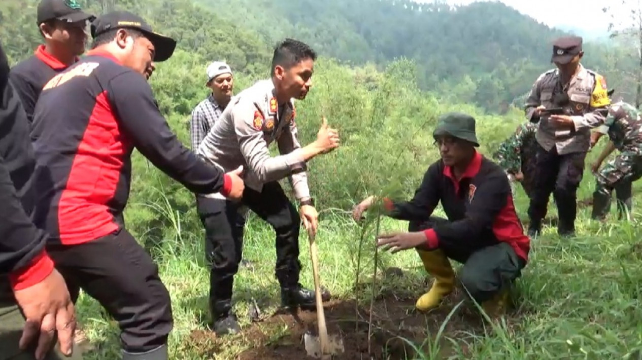 Antisipasi Kerusakan Hutan, Perhutani Kolaboratif Tanam Pohon di Kota Batu
            - galeri foto