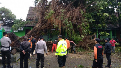 Pohon Tumbang Timpa Sekolah di Karangploso Malang, Ruang Kelas Rusak