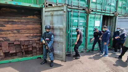 Penyelundupan 57 Kontainer Kayu Ilegal Asal Papua, Dibongkar Direktorat KLHK, Pelaku Terancam Pidana Berlapis