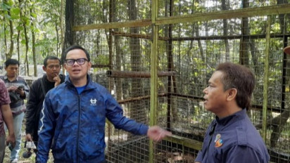 Buntut Video Viral Kematian 2 Ekor Monyet di Mini Zoo Bogor, BKSDA Nilai Fasilitas Tidak Sesuai SOP