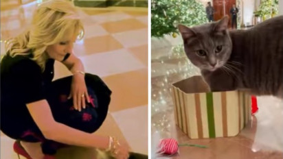 Intip Tingkah Lucu Willow, Kucing Peliharaan Joe Biden saat Merayakan Natal di Gedung Putih