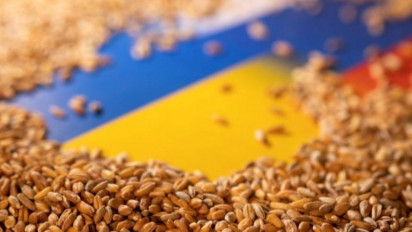 Cegah Krisis Pangan, 14 Juta Ton Biji-Bijian Ukraina Diekspor Lewat Perjanjian Laut Hitam
