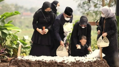 Mengharukan, Pesan Ridwan Kamil Kepada Kucing yang Kerap Menunggu Makam Eril