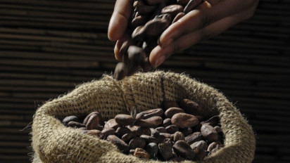 Intip Keunikan Produk Cokelat Premium Asal Sigi, Sulawesi Tengah