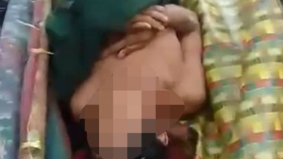 Seorang Warga Siak Diduga Tewas Diterkam Harimau Saat Mencari Kayu di Hutan