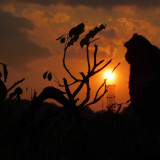 Catat Ini! Rekomendasi Lokasi Wisata Saat Libur Nataru di Kota Semarang