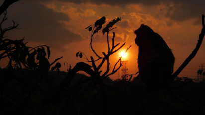 Catat Ini! Rekomendasi Lokasi Wisata Saat Libur Nataru di Kota Semarang