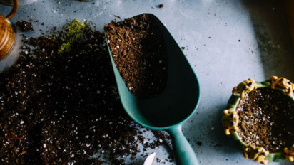 4 Cara Membuat Pupuk Kompos dari Sisa Makanan