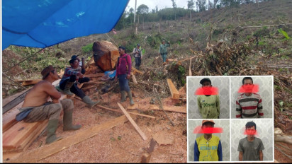 Polisi Tangkap 4 Pelaku Illegal Logging di Kawasan Hutan Taman Nasional Kerinci Seblat