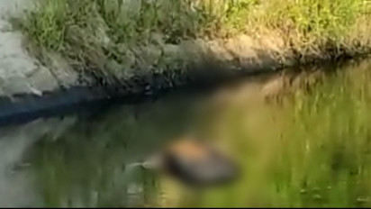 Temuan Jasad Lelaki di Banjir Kanal Barat Semarang Gegerkan Warga