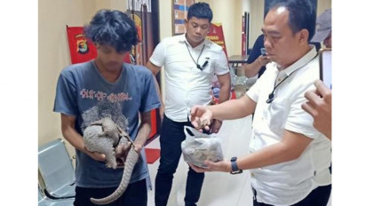 Polda Lampung Limpahkan 3 Perkara Satwa Dilindungi ke Jaksa