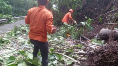 Hujan dan Angin Kencang Tumbangkan Pohon-Pohon di Kendal, Jalur Weleri-Sukorejo Tertutup