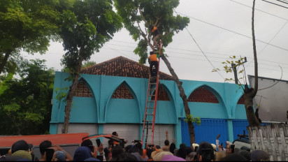 Potong Ranting Pohon, Seorang Warga di Pamekasan Tewas Tersengat Listrik