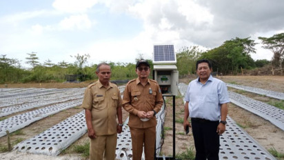 Wamentan: Perkebunan dan Industri Sawit Perkuat Daya Saing Indonesia di Kancah Global