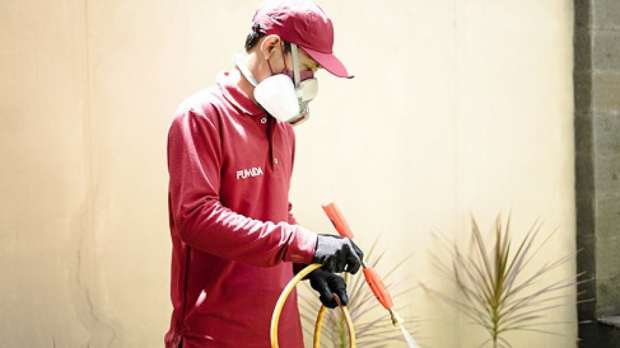 Fumida: Jasa Anti Rayap Terbaik Di Indonesia
            - galeri foto