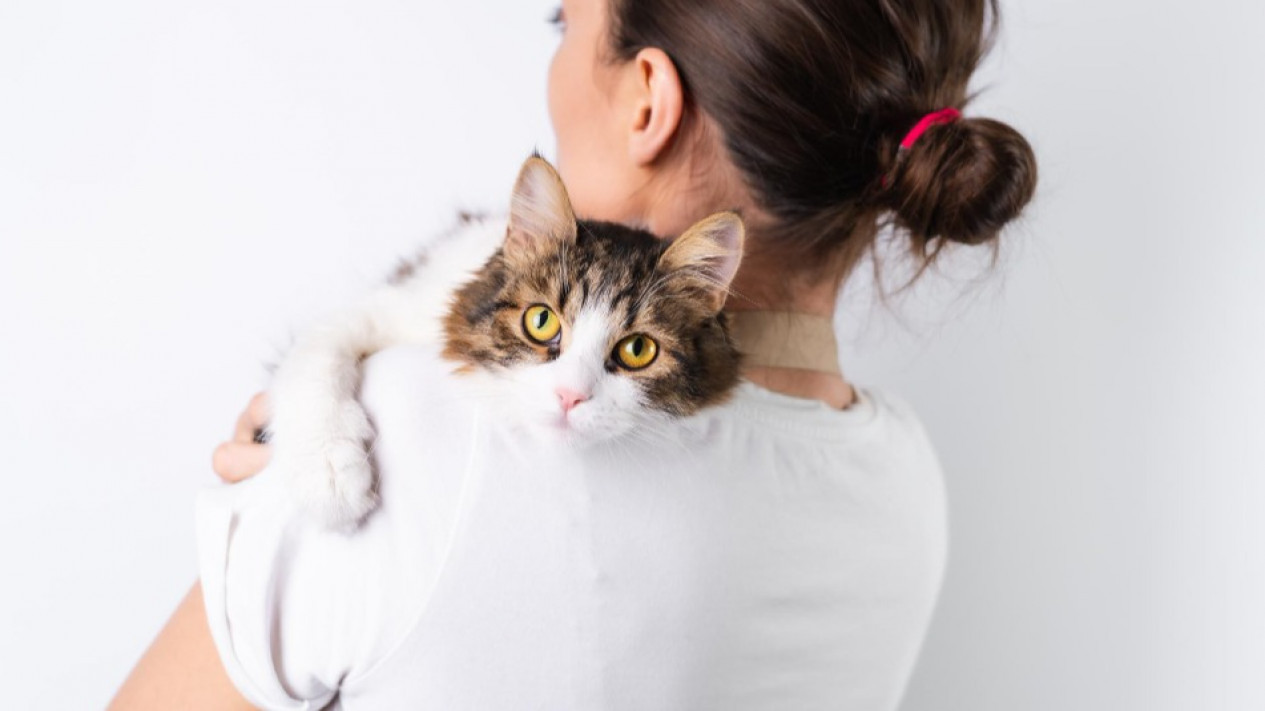 Apakah Benar Seekor Kucing Tahu Namanya saat Dipanggil? Berikut Penjelasan dari Ahli
            - galeri foto