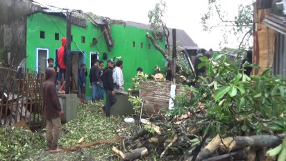 Pohon Berusia 300 tahun Dikeramatkan Warga Desa Sampulungang Takalar, Tumbang Akibat Angin Kencang