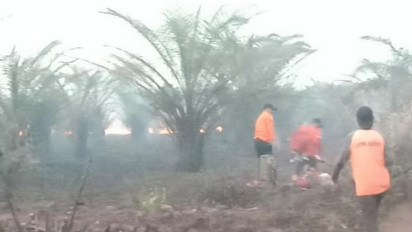 Tim Gabungan BNPB Berhasil Padamkan Kebakaran Lahan di Kotawaringin Barat Kalimantan Tengah