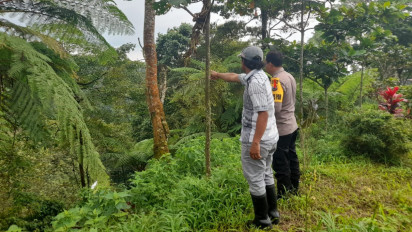 BKSDA Terjunkan Tim Lacak Macan Tutul Lereng Gunung Raung yang Terekam Warga