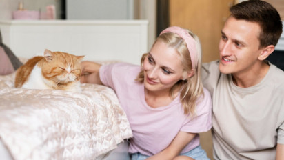 Benarkah Memelihara Seekor Kucing di Rumah Baik Untuk Kesehatan Mental? Berikut Penjelasanya