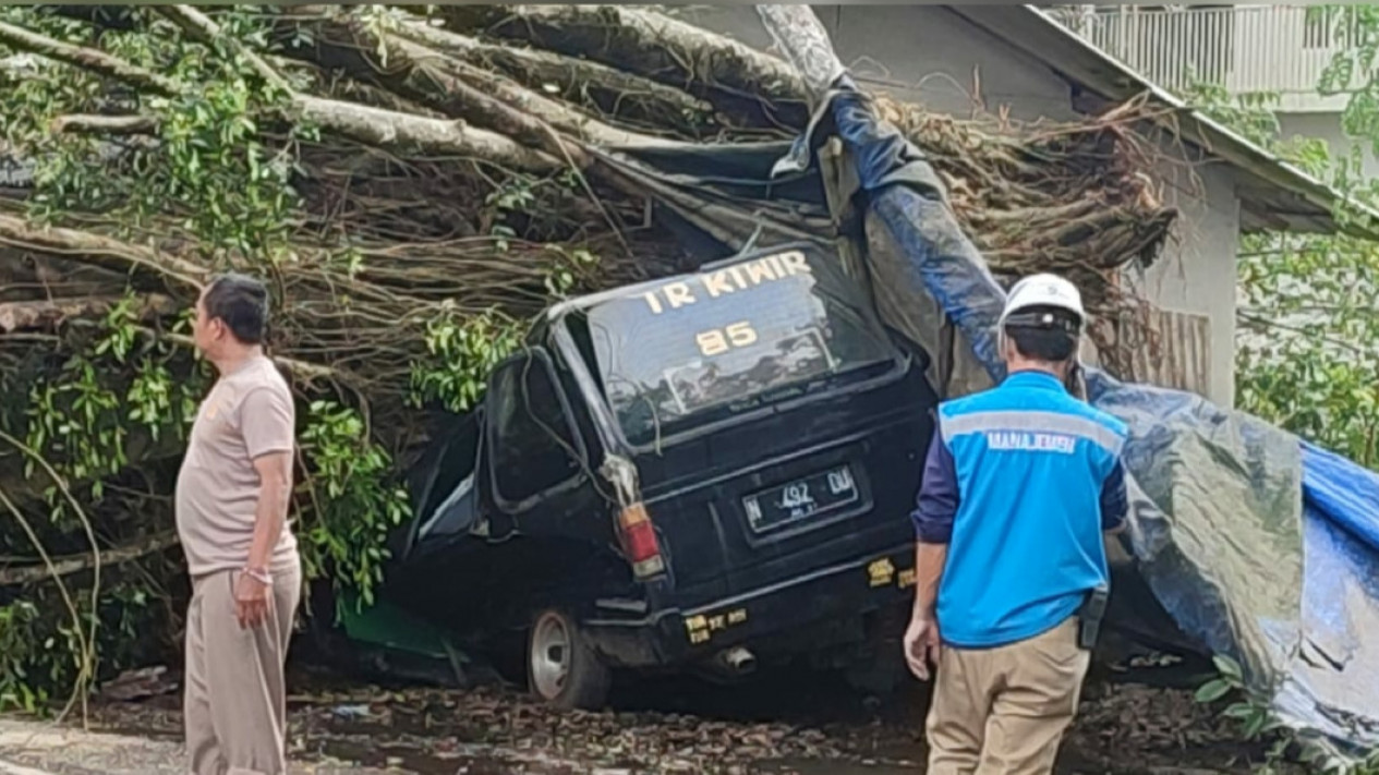 Pohon Tumbang di Gondanglegi Malang Timpa Mobil dan Warung Milik Warga
            - galeri foto