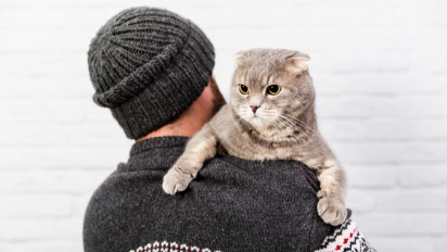 Cat Lovers Wajib Tahu, Berikut Bahaya Bulu Kucing Untuk Kesehatan dan Bisa Sebabkan 4 Penyakit Ini