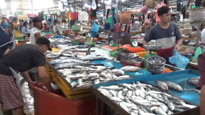 Cuaca Ekstrem, Harga Ikan di Tanjungpinang Melonjak 100 Persen