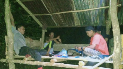 Tak Bisa Diusir Pakai Mercon, Petani di Aceh Timur Minta Pemerintah Tangani Kawanan Gajah Liar