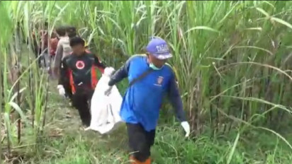 Kerangka Manusia di Kebun Tebu Gegerkan Warga Kepanjen, Kabupaten Malang