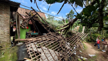 Diterjang Angin Kencang, Sebuah Rumah di Banyuwangi Ambruk Tertimpa Pohon Tumbang